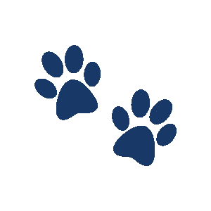 Pet Treasures 2